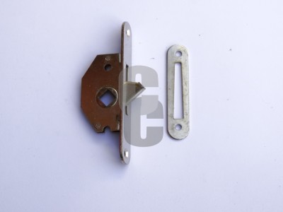 Брава оливка                                                                                                                                                                                                                                                                                                